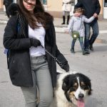 Održana revija i defile pasa „Travnik pozdravlja  tornjaka“