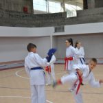 Održan  Dan sporta u Općini Travnik " Izaberi svoj sport "