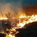 Članovi DVD "Stari Vitez" ugasili šumski požar u Busovači