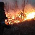 Članovi DVD "Stari Vitez" ugasili šumski požar u Busovači